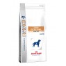 Royal Canin Gastro Intestinal Low Fat LF22 
